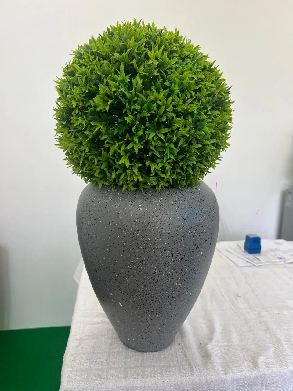 Grey speckled planter with a rounded green plant